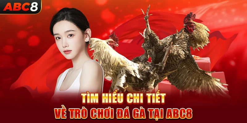 Tìm hiểu chi tiết về trò chơi đá gà tại ABC8