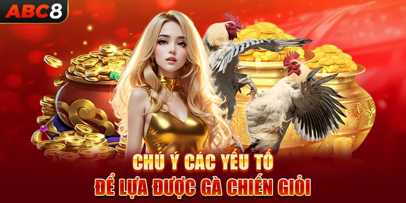 Chú ý các yếu tố để lựa được gà chiến giỏi