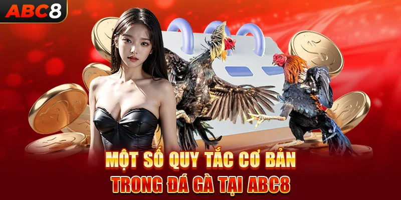 Một số quy tắc cơ bản trong đá gà tại ABC8