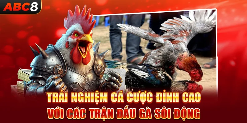  Trải nghiệm cá cược đỉnh cao với các trận đấu gà sôi động